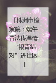 株洲市检察院：端午普法传温情 “银青结对”进社区