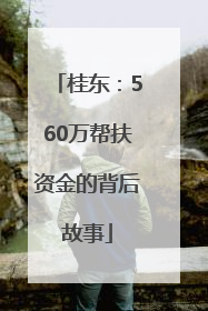 桂东：560万帮扶资金的背后故事