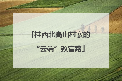 桂西北高山村寨的“云端”致富路