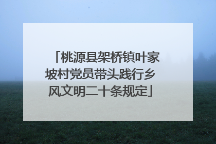 桃源县架桥镇叶家坡村党员带头践行乡风文明二十条规定