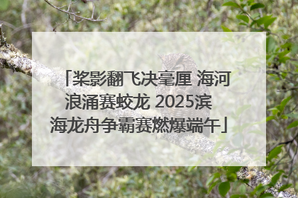 桨影翻飞决毫厘 海河浪涌赛蛟龙 2025滨海龙舟争霸赛燃爆端午