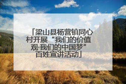 梁山县杨营镇同心村开展“我们的价值观·我们的中国梦”百姓宣讲活动