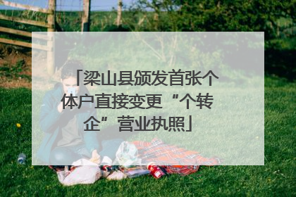 梁山县颁发首张个体户直接变更“个转企”营业执照