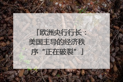 欧洲央行行长：美国主导的经济秩序“正在破裂”