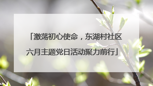 激荡初心使命，东湖村社区六月主题党日活动聚力前行