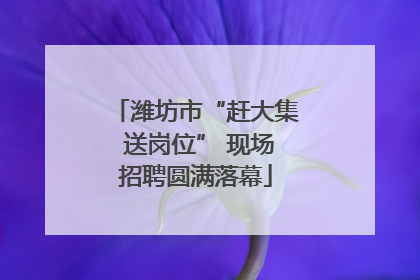 潍坊市“赶大集 送岗位” 现场招聘圆满落幕