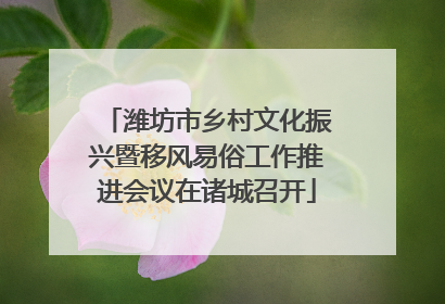 潍坊市乡村文化振兴暨移风易俗工作推进会议在诸城召开