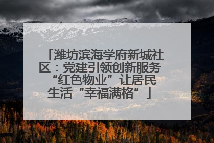 潍坊滨海学府新城社区：党建引领创新服务 “红色物业”让居民生活“幸福满格”