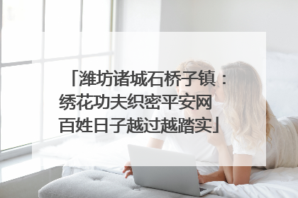 潍坊诸城石桥子镇：绣花功夫织密平安网 百姓日子越过越踏实