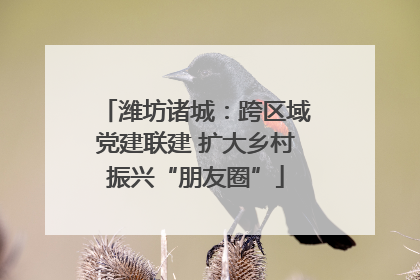 潍坊诸城：跨区域党建联建 扩大乡村振兴“朋友圈”