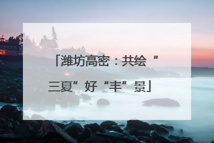 潍坊高密：共绘“三夏”好“丰”景