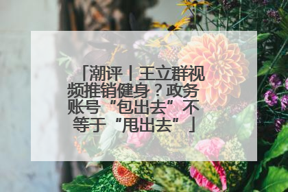 潮评丨王立群视频推销健身？政务账号“包出去”不等于“甩出去”