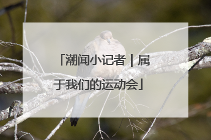 潮闻小记者｜属于我们的运动会