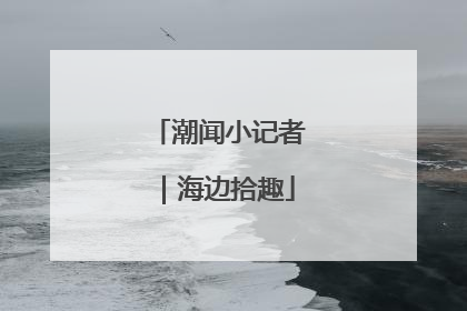 潮闻小记者｜海边拾趣