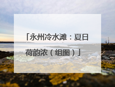 永州冷水滩：夏日荷韵浓（组图）