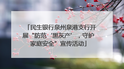 民生银行泉州泉港支行开展“防范‘黑灰产’，守护家庭安全”宣传活动