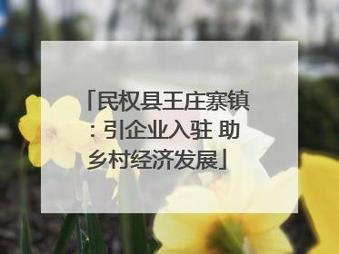 民权县王庄寨镇：引企业入驻 助乡村经济发展