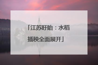 江苏盱眙：水稻插秧全面展开