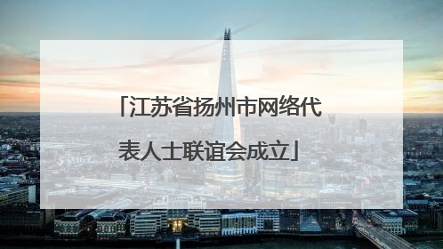 江苏省扬州市网络代表人士联谊会成立