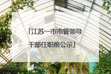 江苏一市市管领导干部任职前公示