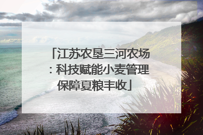 江苏农垦三河农场：科技赋能小麦管理保障夏粮丰收