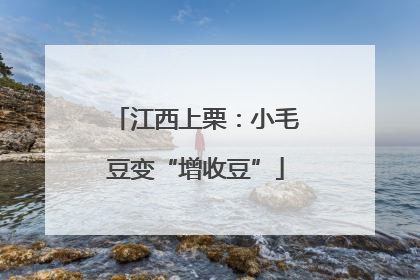 江西上栗：小毛豆变“增收豆”