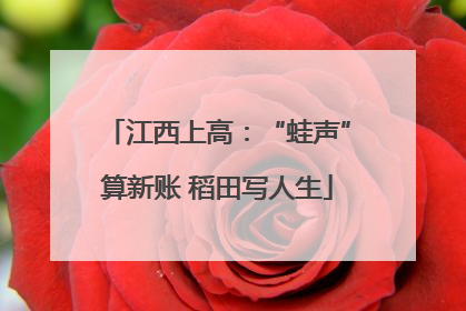 江西上高：“蛙声”算新账 稻田写人生