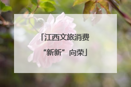 江西文旅消费“新新”向荣