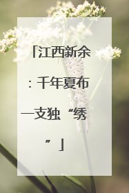 江西新余：千年夏布一支独“绣”