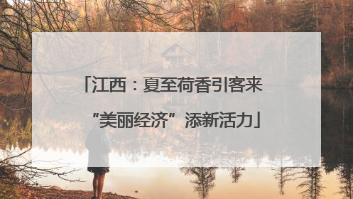 江西：夏至荷香引客来 “美丽经济”添新活力