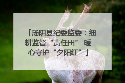 汤阴县纪委监委：细耕监督“责任田” 暖心守护“夕阳红”