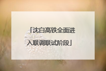 沈白高铁全面进入联调联试阶段
