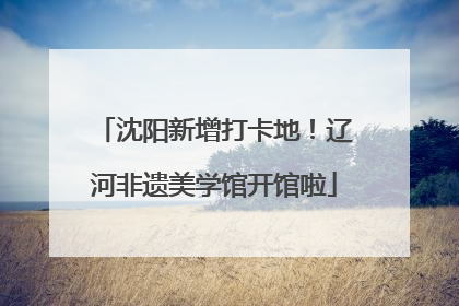 沈阳新增打卡地！辽河非遗美学馆开馆啦