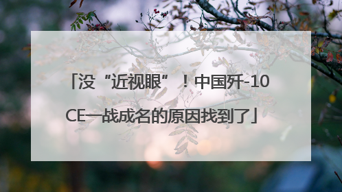 没“近视眼”！中国歼-10CE一战成名的原因找到了