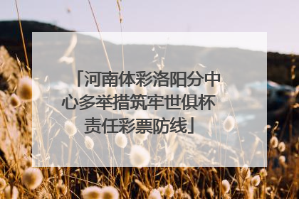 河南体彩洛阳分中心多举措筑牢世俱杯责任彩票防线