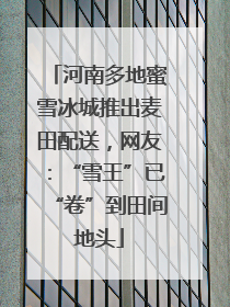 河南多地蜜雪冰城推出麦田配送，网友：“雪王”已“卷”到田间地头