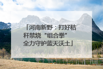 河南新野：打好秸秆禁烧“组合拳” 全力守护蓝天沃土