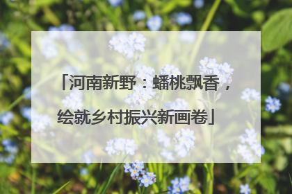 河南新野：蟠桃飘香，绘就乡村振兴新画卷