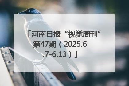 河南日报“视觉周刊”第47期（2025.6.7-6.13）