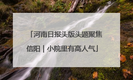 河南日报头版头题聚焦信阳｜小院里有高人气