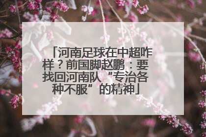河南足球在中超咋样？前国脚赵鹏：要找回河南队“专治各种不服”的精神