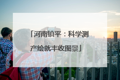河南镇平：科学测产绘就丰收图景