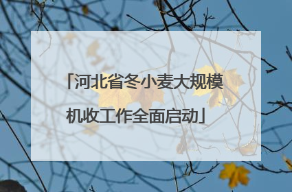 河北省冬小麦大规模机收工作全面启动