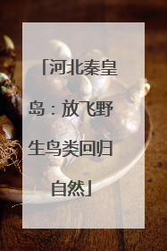 河北秦皇岛：放飞野生鸟类回归自然
