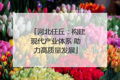 河北任丘：构建现代产业体系 助力高质量发展