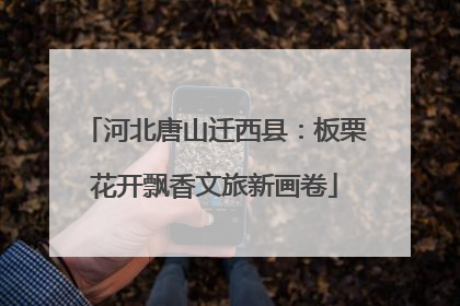 河北唐山迁西县：板栗花开飘香文旅新画卷