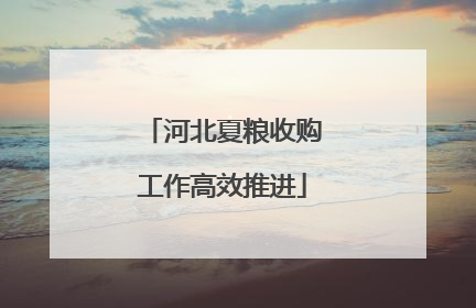 河北夏粮收购工作高效推进