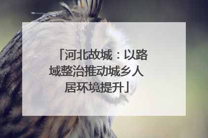 河北故城：以路域整治推动城乡人居环境提升
