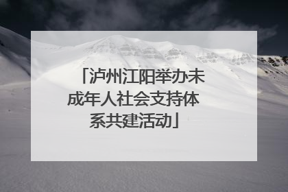 泸州江阳举办未成年人社会支持体系共建活动