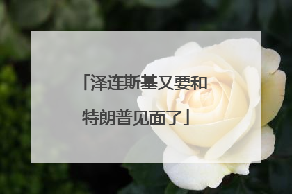 泽连斯基又要和特朗普见面了